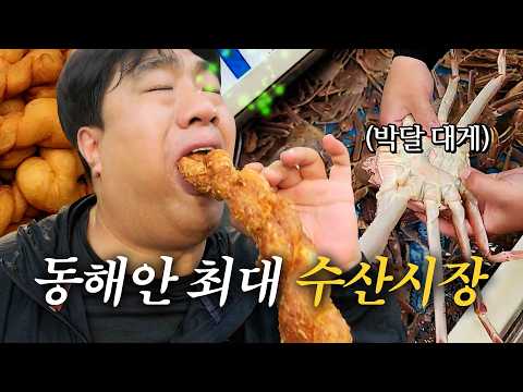 꽈배기가 3개에 천 원? 가성비 맛 두 마리 토끼 다 잡은 시장｜죽도시장 편