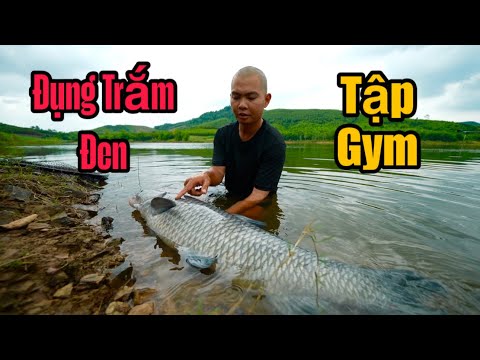 Câu Đài Trắm Đen Cùng Điểu - Đụng Cá Tập Gym Siêu Khoẻ Kéo Bay Người