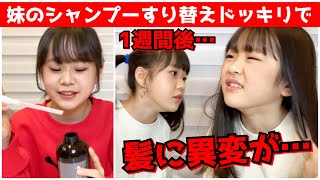 【ドッキリ】妹の髪質がうらやましくてシャンプーの中身をすり替えてしまいました…