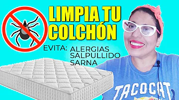 ¿Cómo eliminar la sarna en el colchon?