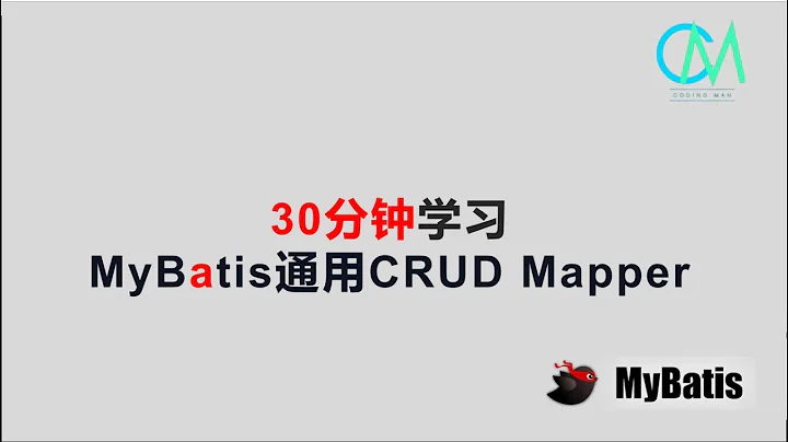 30分钟学习MyBatis通用CRUD Mapper #mybatis #crud #java