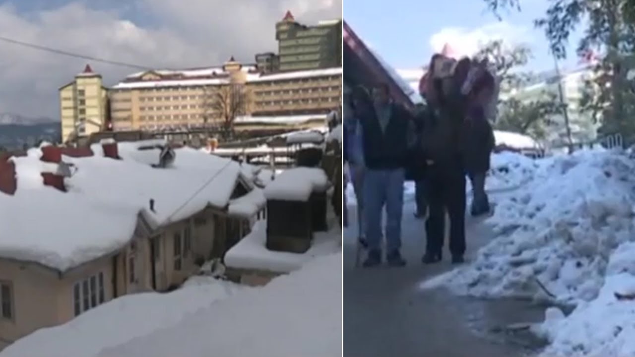 Watch | 7 die in Shimla due to intense cold