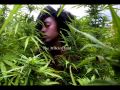 Natika  gros fumeurs de ganja   big ganja smoker   new reggae aout 2017  