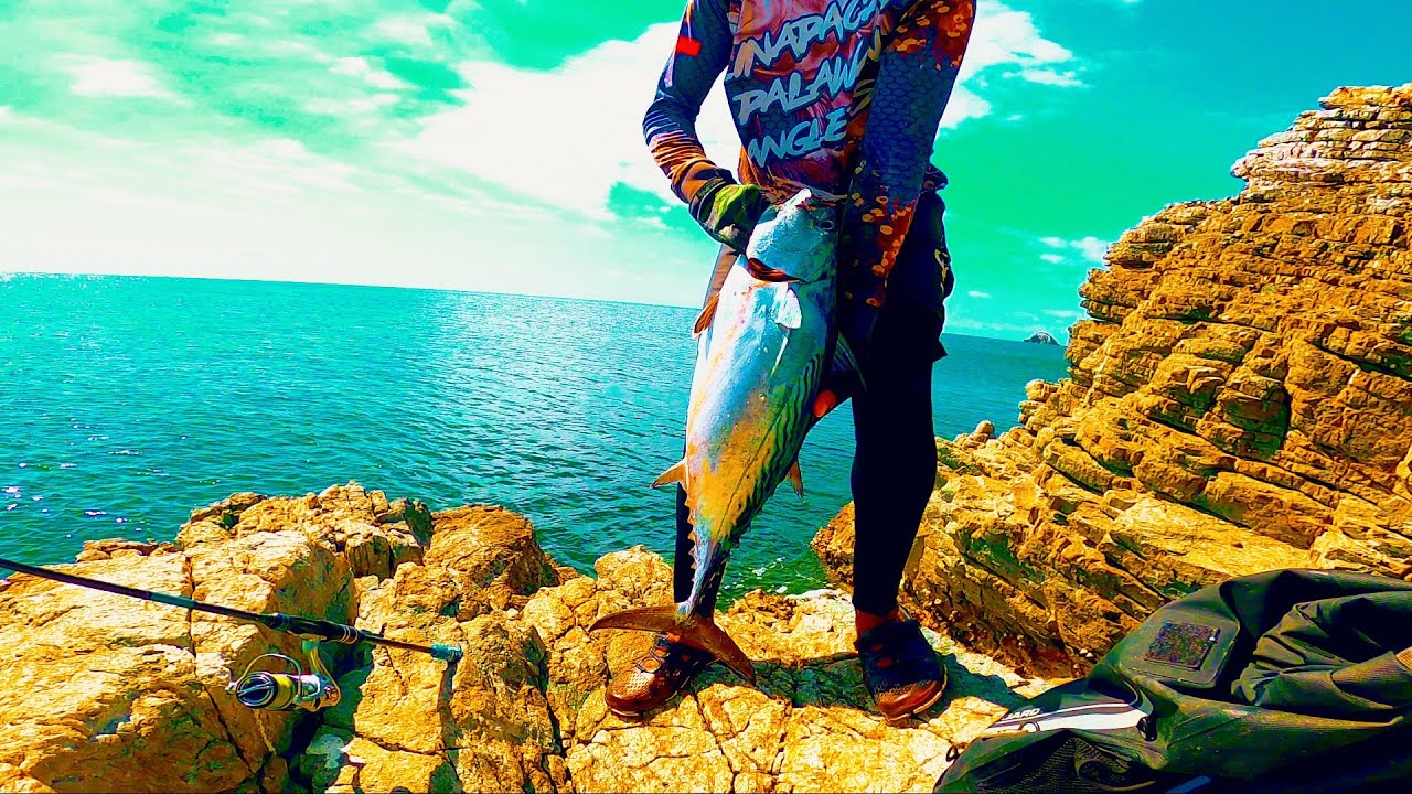Caught a huge bonito on the edge of the rock❗