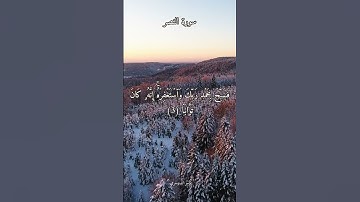 سورة النصر بصوت الشيخ #ياسر_الدوسري #القرآن_الكريم #quran #المصحف_المرتل