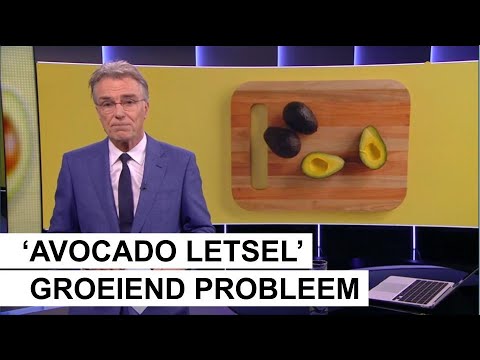 Video: Avocado-vergiftiging - Symptomen, Eerste Hulp, Behandeling, Gevolgen