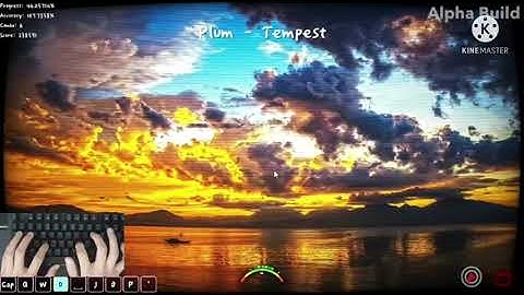 [ADOFAI Custom] Plum - Tempest ㄹㅇ blind clear