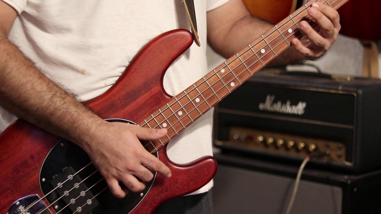 Rhcp cant stop bass cover youtube