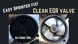 Diesel Mercedes Sprinter Van EGR Valve Cleaning