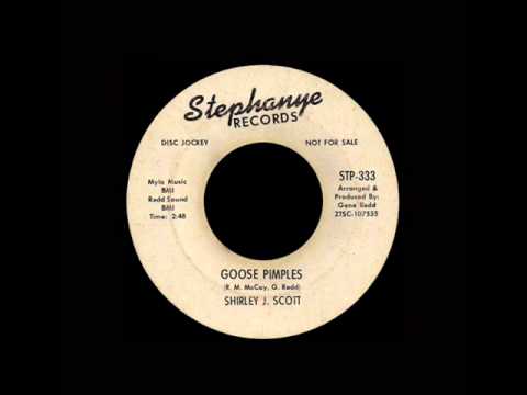 Shirley J. Scott - Goose Pimples