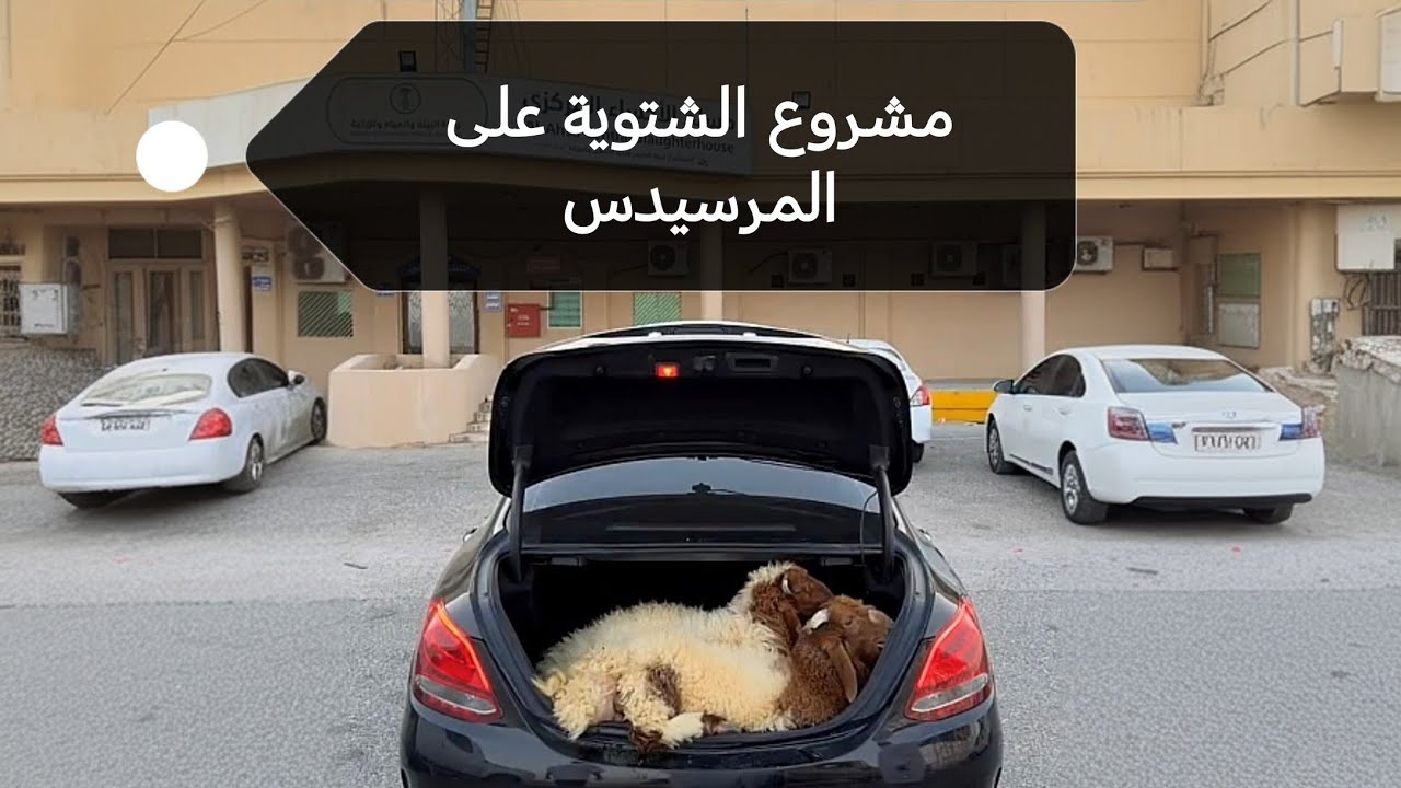 مشروع الشتوية على المرسيدس