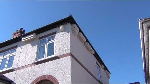 Swift chick first flight July 2017