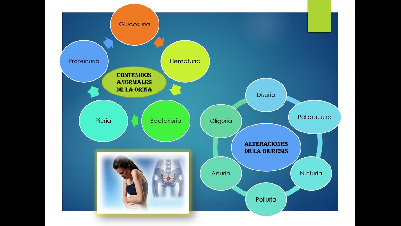 CONTROL DE DIURESIS 👀💦 /Teoria / YouTube