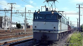 JR貨物 2010年懐かしき釜たち【EF65 118号機】8868レ貨物列車(H22.5.29)