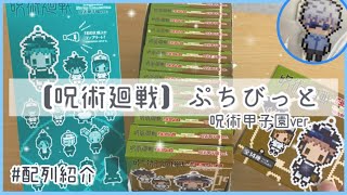 【呪術廻戦】ぷちびっと呪術甲子園ver.1BOX開封