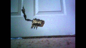 Lego mixels meet scorpi (stop motion)