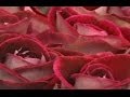 Valentine's perfect gift pressure