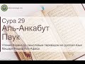 Коран Сура 29 аль-Анкабут (Паук) русский | Мишари Рашид Аль-Афаси