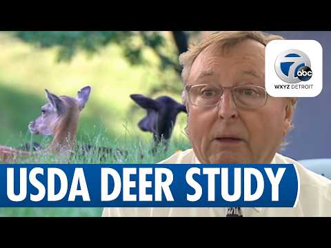 Bloomfield Township moves forward with deer study amid debate over population management