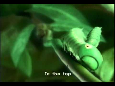 統一綠茶在日本的廣告Worms