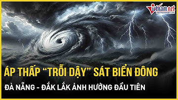 Cảnh báo: Áp thấp “trỗi dậy” sát Biển Đông, Đà Nẵng - Đắk Lắk ảnh hưởng đầu tiên | Báo VietNamNet
