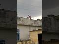 youtube short # #nature
