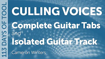 Tool - Culling Voices - Guitar Cover / Tabs / Isolated Guitar