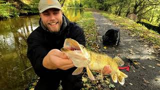 Catching Canal Pike Broken Rod Dont Buy