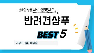 가성비 인기있는 반려견샴푸 추천 후기 TOP5