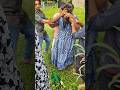 Comedy short video|funny video| bangla natok |funny shorts