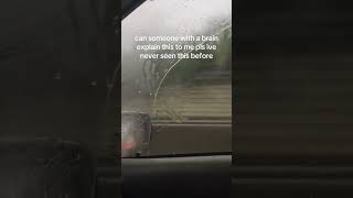 They like man this is so dope lowkey