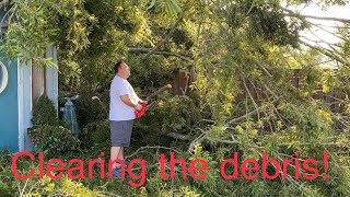 Storm damage clean up. Did the garden survive? by Horticulture Geek 372 views 9 months ago 22 minutes