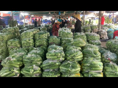 giá bán sỉ,BẦU