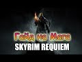 Skyrim: Requiem - Гайд на Мага