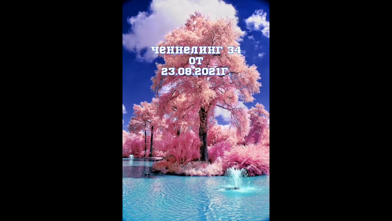 Божественный Источник. Ченнелинг 34 от 23.08.2021г