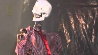 3 axis skull.wmv