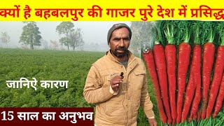 gajar ki kheti, kaise karen, गाजर की खेती पूरी जानकारी, carrots farming, earn million dollar carrots