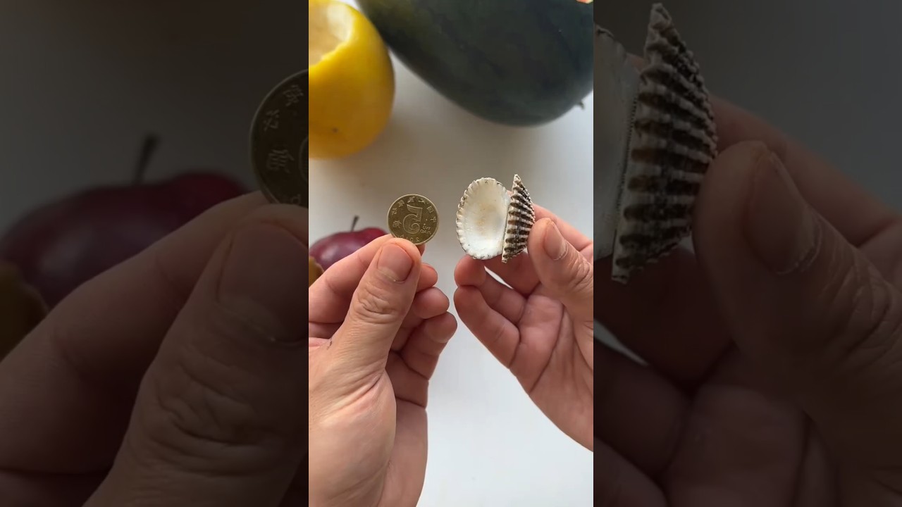 Dad hid the money in an apple 🍎 😁 