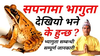 सपनामा भ्यागुता देख्नुको मतलब के हो ? Sapanama Bhyaguta Dekhnuko Matalab भ्यागुतो सम्बन्धि जानकारी