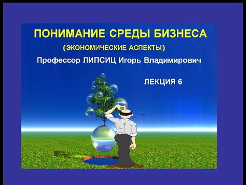 ПОНИМАНИЕ СРЕДЫ БИЗНЕСА. ЭКОНОМИЧЕСКИЕ АСПЕКТЫ. ЛЕКЦИЯ 6