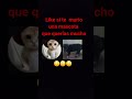 es muy triste cuando se muere una mascota