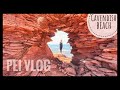 VLOG #82 / Три дня выходных / Cavendish beach / Много белочек / PEI апрель 2020