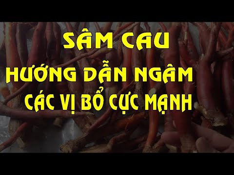 Video Sâm cau - Tác dụng của sâm cau - Hướng dẫn ngâm rượu... - youtube