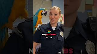 Parrot Talking Nonstop 😱🦜 Funniest Short Ever ! #shorts #talkingparrot #policeofficer