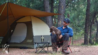 Solo Camping, Tent Tarp Shelter, Cozy & Relaxing with my Dog, ASMR