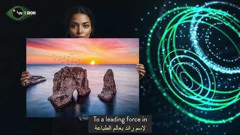 Holovision – Bringing Images to Life Since 2018 | 3D Parallax Printing