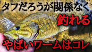 【5月6月】タフな状況なのに簡単に釣れてしまう奇想天外なワームとリグ見つけました「バス釣り」「釣り方」「スモールマウスバス」