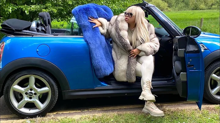 Gorgeous FROSTED FOX FUR COAT JACKET