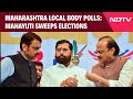 Maharashtra Local Body Polls | Maharashtra Local Body Elections: Mahayuti Sweeps Municipal Polls