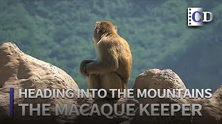 The Macaque Keeper「Heading into the Mountains」 | China Documentary
